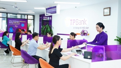 TPBank je průkopníkem v dosahování standardů Basel III dle oběžníku č. 14 Státní banky.