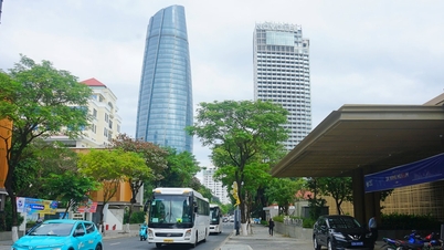 Da Nang strengthens inspection of automobile transportation business activities