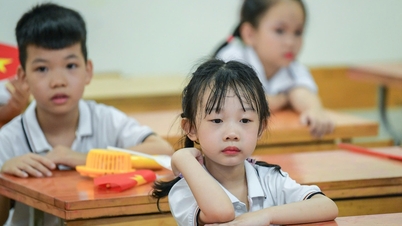 하노이, 마트모 폭풍으로 인한 피해에 대응하기 위해 학교에 긴급 통보