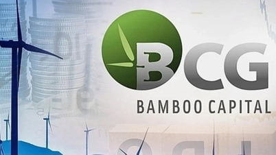 Bamboo Capital, Tracodi 주식 거래 정지로 주주들에게 사과