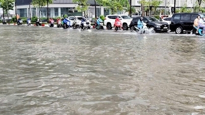 Hanoi kräver att skolor proaktivt agerar på grund av storm nr 11