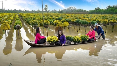 Nông nghiệp sinh thái là con đường tất yếu tại ĐBSCL