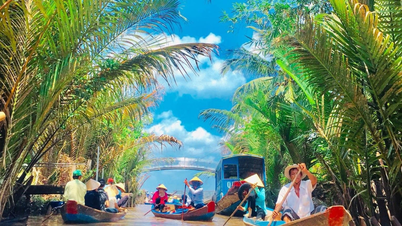Tour miền Tây 1 ngày: Hành trình trải nghiệm trọn vẹn nét đẹp sông nước Cửu Long
