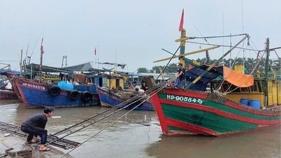 Hai Phong lifts ban on ships going to sea