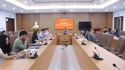 보건부는 11호 폭풍에 대비하기 위해 긴급 회의를 개최했습니다.