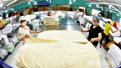 Supporting the private economy to become a growth engine