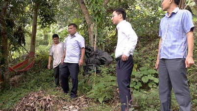 Genosse Hau Minh Loi inspizierte die Arbeit zur Verhütung, Kontrolle und Wiederherstellung von Naturkatastrophen in der Gemeinde Yen Minh.