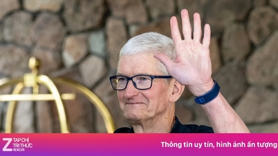 Apple findet Nachfolger für Tim Cook