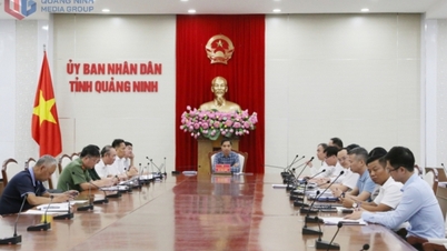 도 인민위원회는 사회주택 사업 시행에 대한 보고를 청취했습니다.