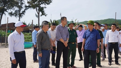 Der stellvertretende Vorsitzende des Volkskomitees der Provinz, Nguyen Thien Van, forderte eine strengere Überwachung der Fischereiflotten, um die IUU-Fischerei zu bekämpfen.