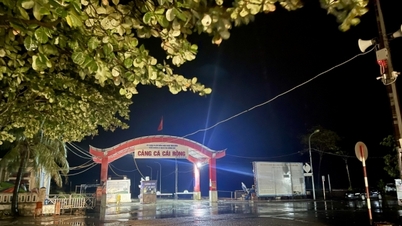 Đặc khu Vân Đồn có mưa vừa, gió cấp 7-8