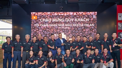 पुनर्योजी कृषि की दिशा में कॉफी की खेती के कारण आय में 150% की वृद्धि हुई