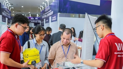 Specialnyheter i tidningen Hanoi Moi den 1 november 2025