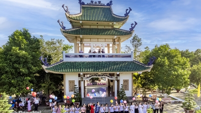 انتظام کو مضبوط بنانا اور اوشیشوں کی قدر کو فروغ دینا