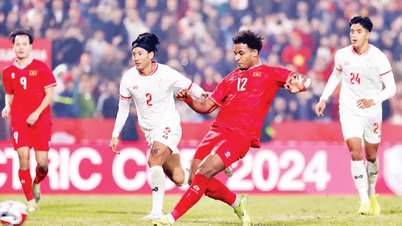 ভিয়েতনামের জাতীয় দল কি শক্তিশালী হতে সাহায্য করে?