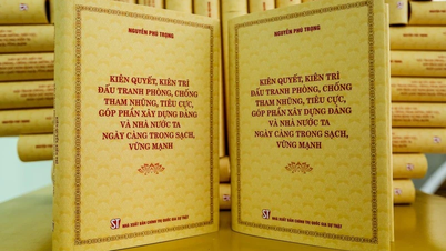 দুর্নীতি, অপচয় এবং নেতিবাচকতা প্রতিরোধ এবং মোকাবেলায় মনোনিবেশ করুন