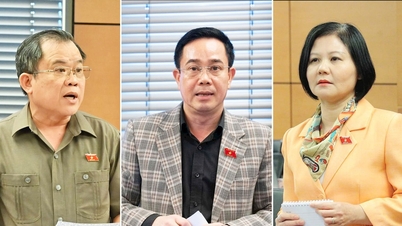 A nemzetközi szerződésekről szóló törvény számos cikkének módosításáról és kiegészítéséről szóló törvénytervezet: elegendő idő biztosítása a mélyreható értékeléshez