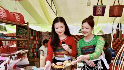 Giữ mạch nguồn văn hóa Thái Mai Châu