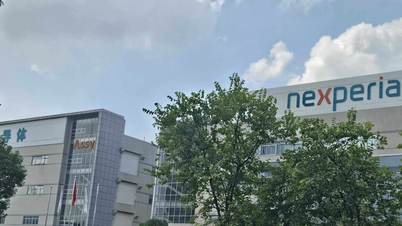 شركة نيكسبيريا تتوقف عن توريد مواد أشباه الموصلات إلى مصنعها في الصين