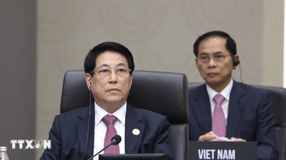 Luong Cuong elnök részt vesz a 32. APEC csúcstalálkozó 2. ülésszakán