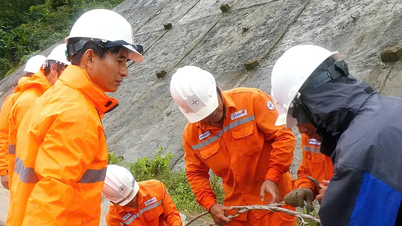 Se restableció el suministro eléctrico a más de 400.000 clientes afectados por las inundaciones.