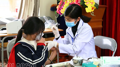 Triển khai kiểm tra tiền sử và tiêm chủng bù cho trẻ em