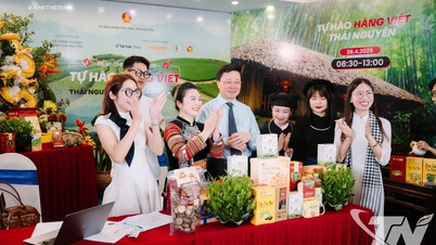 Arah baru dari ginseng Bo Chinh