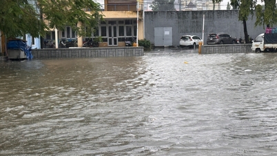 بعد 5 نوفمبر، يميل هطول الأمطار إلى الانخفاض بسرعة.