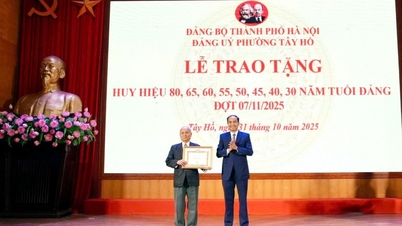 Phường Tây Hồ trao Huy hiệu Đảng đợt 7/11