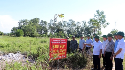 Dlaczego rolnicy z Nghe An nie są zainteresowani ubezpieczeniami rolniczymi?