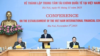 Mekanisme dan kebijakan yang tepat diperlukan agar Pusat Keuangan Internasional di Vietnam dapat beroperasi secara efektif.
