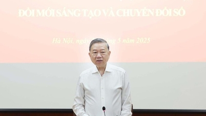 সাধারণ সম্পাদক ল্যামের প্রতি: স্মার্ট সিটি এবং হাই-টেক জোন তৈরিতে অসুবিধা দূর করা