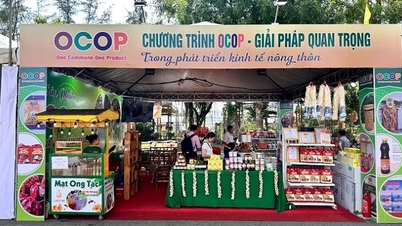 מוצרים אופייניים מתכנסים בקאן טו