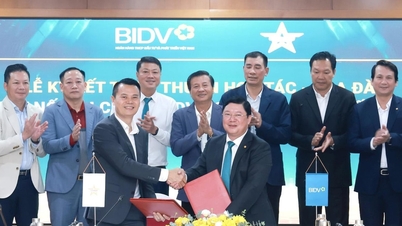 BIDV, Sao Vang Dat Viet 기업과의 협력 강화