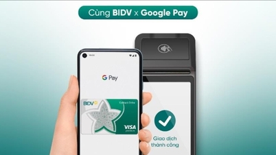 A BIDV bevezeti a Google Pay fizetési szolgáltatást Visa és MasterCard kártyákhoz