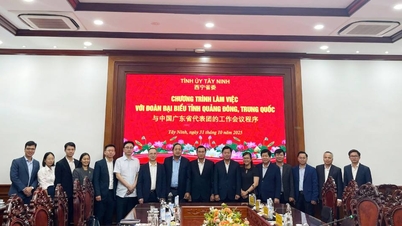 قام وفد من مقاطعة قوانغدونغ (الصين) بزيارة تاي نينه والعمل فيها