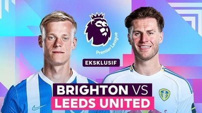 Compte rendu du match Brighton vs Leeds, 22h00, 1er novembre : Surmonter les difficultés à l'Amex