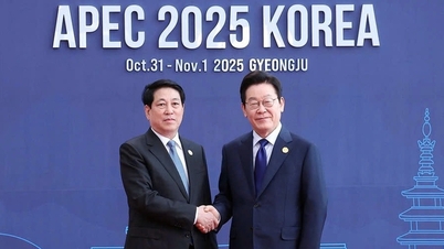 Prospek kerja sama AI di APEC