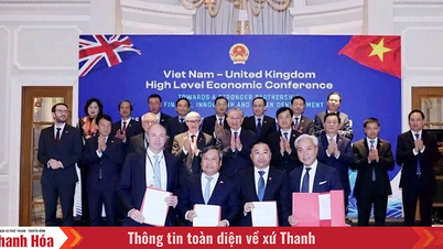 Akan ada pusat perbaikan dan pemeliharaan pesawat besar di Bandara Internasional Van Don.