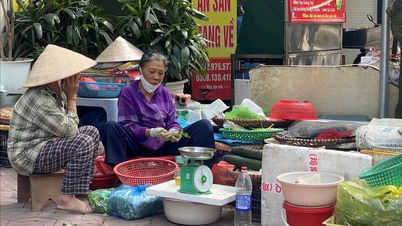 Hai Phong ensures social security for the elderly