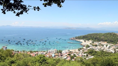 معیارهای تشخیص کمون‌های جزیره‌ای و کمون‌های منطقه امن