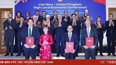 شرکت ویت‌جت قراردادی برای خرید ۱۰۰ فروند هواپیمای A321neo با ایرباس امضا کرد که به گسترش همکاری‌های هوانوردی و تقویت روابط ویتنام و بریتانیا منجر می‌شود.