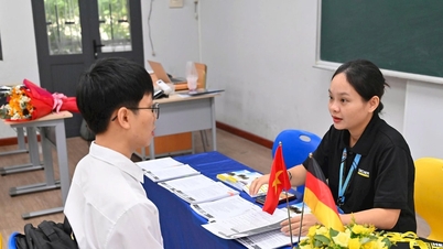 Veletrh pracovních příležitostí DUT na Technické univerzitě v Danangu: Představujeme téměř 300 pracovních míst a stáží