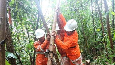 বন্যায় ক্ষতিগ্রস্ত ৮৪% এরও বেশি গ্রাহক বিদ্যুৎ পুনরুদ্ধার করেছেন।