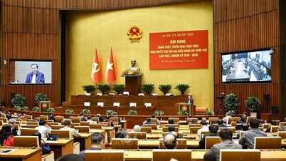 Implementación de la Resolución del Primer Congreso Nacional del Partido