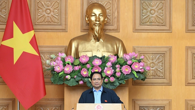 Создание правового коридора, содействие формированию и развитию площадок для хранения данных во Вьетнаме