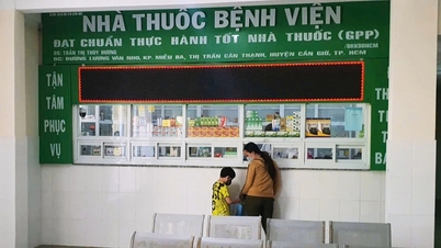 Ho Chi Minh Şehri, Can Gio'da ortak bir genel hastaneyi faaliyete geçirmeye hazırlanıyor.