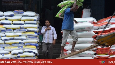 Indiens risexport förväntas öka med över 10 % under räkenskapsåret 2025–2026.