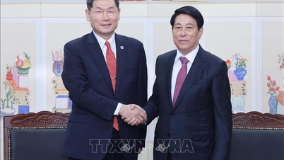 Președintele Luong Cuong îl primește pe președintele Fundației Coreene