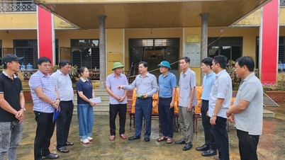 सरकार बाढ़ से हुए नुकसान से निपटने के लिए दा नांग शहर को 100 बिलियन वीएनडी की सहायता दे रही है।